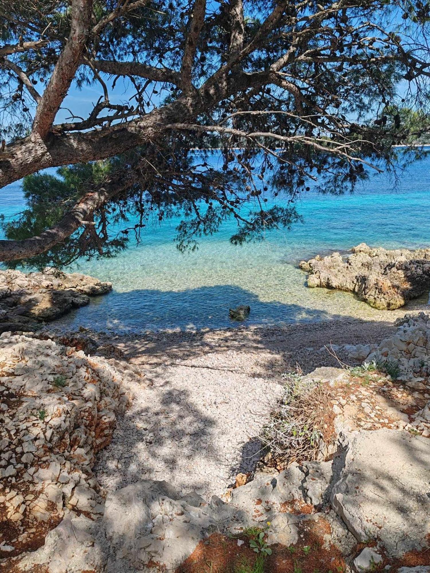 House Kod Dide Villa Primošten Exteriör bild
